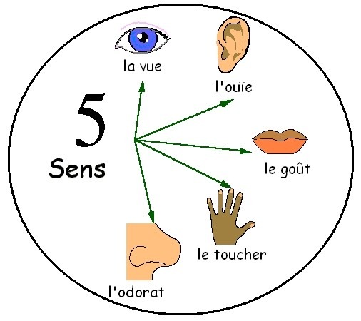 cinq sens 